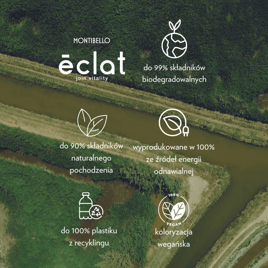 eclat - infografika